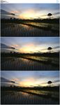 农田夕阳