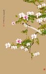 玉兰花鸟图玄关背景墙