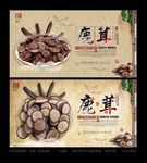 鹿茸