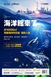 房地产海洋馆形象