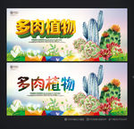 多肉植物