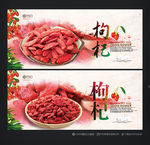 枸杞