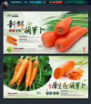 胡萝卜