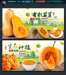 南瓜