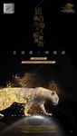 地产 提案 豪宅 高端 地王