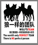 狼一样的团队