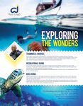 多色探索海洋之谜旅游宣传海报