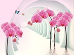 3D蝴蝶兰
