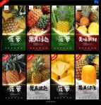 菠萝