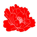 牡丹图