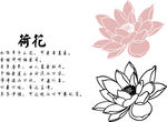 荷花沙发背景图
