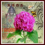 北美装饰画