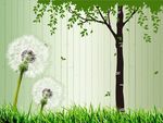 蒲公英大树