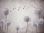 梦幻蒲公英