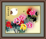 牡丹花