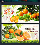 脐橙