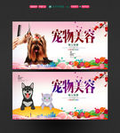 宠物美容