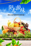 水果海报