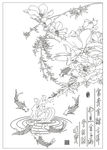 玉兰鱼 竹