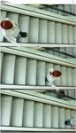 女士乘坐自动扶梯下楼