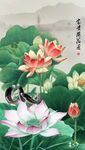 荷花