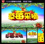 草莓