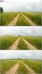 穿越草地上的道路