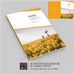 不负青春唯美言情小说封面
