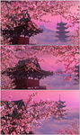 樱花时节动态背景