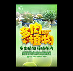 多肉植物