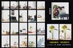 室内 家居 摆饰（扣图成品）