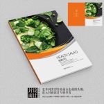 绿色美食沙拉宣传画册封面设计