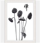 禅意莲蓬高清装饰画