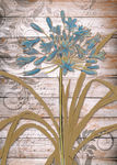 花卉装饰画