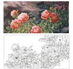 牡丹花 工笔画
