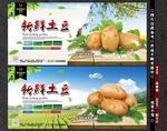 土豆