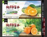 橙子