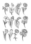 花朵手绘图
