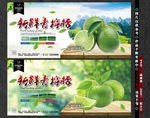 柠檬