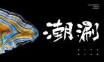 海鲜火锅