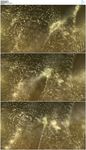 扰动的金色粒子波纹