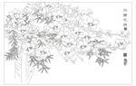 玉兰花开 玉兰竹
