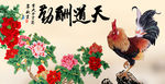 牡丹