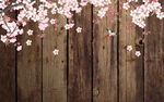 木纹花鸟壁画