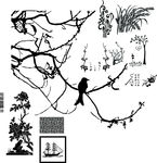 花纹