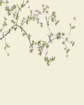手绘花鸟装饰画