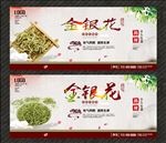金银花