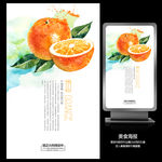 中国风橙子促销宣传海报