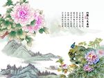 国色天香牡丹花