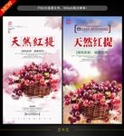 红提